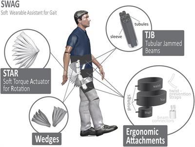 Frontiers | A Wearable Soft Robotic Exoskeleton for Hip Flexion